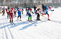 ТУСУР станет участником масштабного зимнего марафона «Лыжня России»