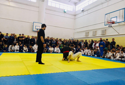 Спортсмены ТУСУРа завоевали 12 золотых медалей на чемпионате по боевым искусствам