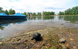 Аквалангисты ТУСУРа обнаружили на дне Белого озера боевую гранату