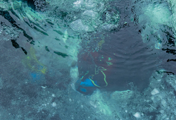 Клуб подводного плавания ТУСУРа открыл сезон подлёдных погружений