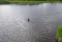 Аквалангисты ТУСУРа очистили от мусора озеро Боярское